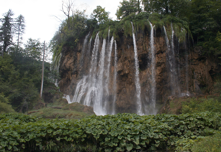 6097_Plitvicka jezera N.P..JPG